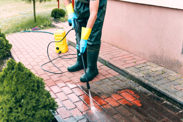 Best Fence Cleaning  in USA